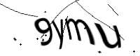 captcha_img