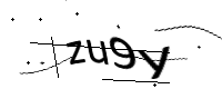 captcha_img