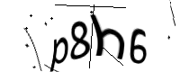 captcha_img